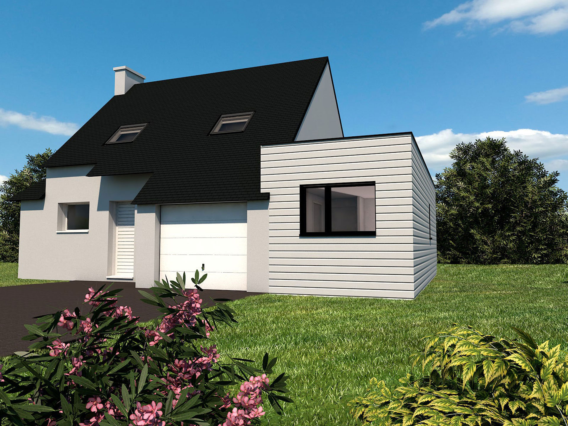 Extension bois gris